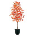 フェイクグリーン 観葉植物 フェイク 人工観葉植物 大型 光触媒 人工大型 ヤマモミジ 紅 180cm 鉢植 造花 光触媒 CT触媒 インテリア