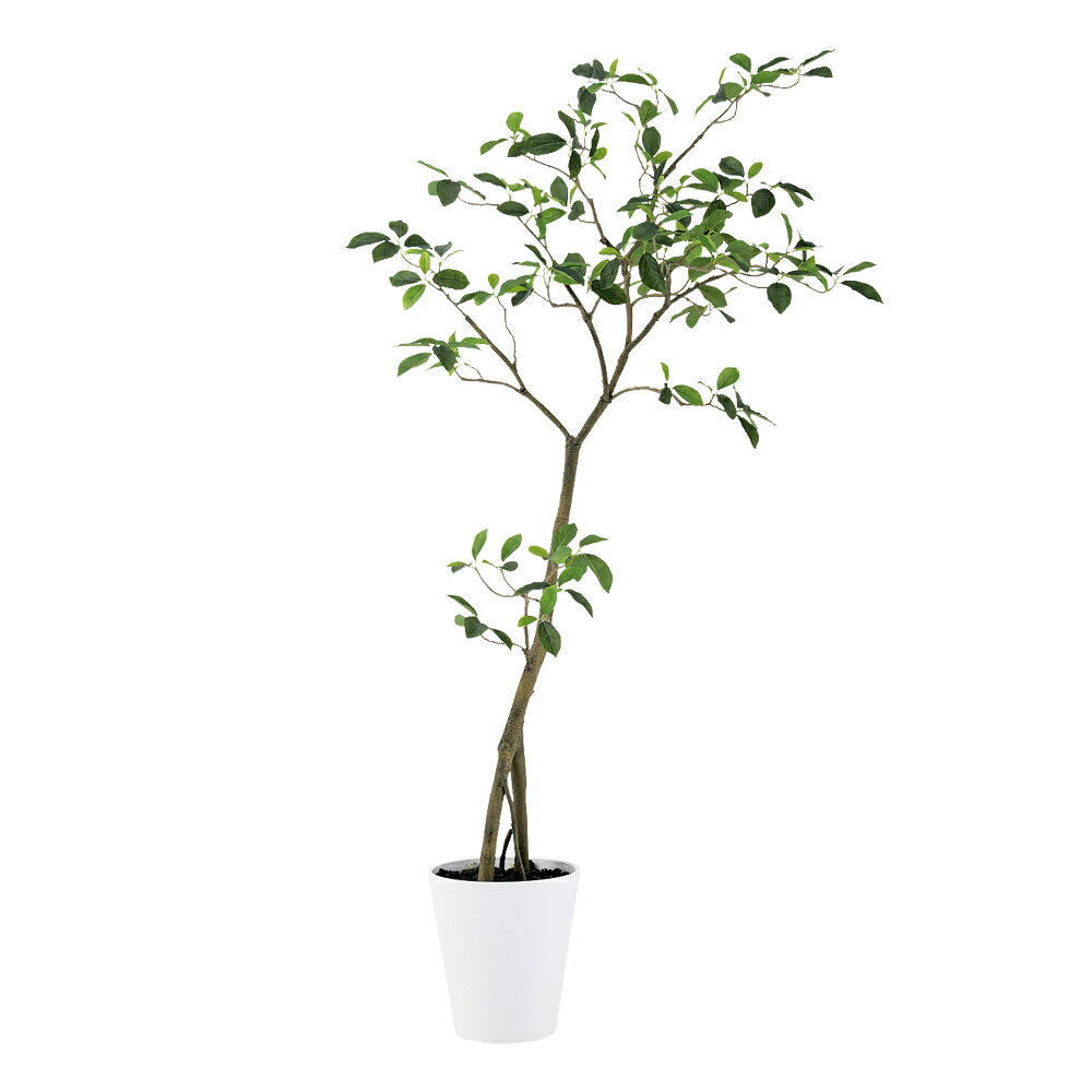 フェイクグリーン 観葉植物 フェイク 人工観葉植物 大型 光触媒 人工ガジュマル FST 高さ約150cm リアル 造花 鉢植 光触媒 CT触媒 インテリア ディスプレイ