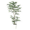 フェイクグリーン 観葉植物 フェイク 人工観葉植物 大型 光触媒 人工造花 光触媒 大型 トネリコ FST 150cm 鉢植 グリーン インテリア おしゃれ C...