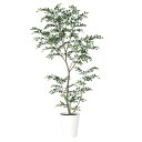 フェイクグリーン 観葉植物 フェイク 人工観葉植物 大型 光触媒 人工造花 光触媒 大型 トネリコ FST 180cm 鉢植 グリーン インテリア おしゃれ C...
