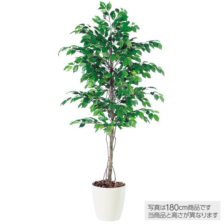 【マラソン期間中P5倍】【メーカー直送】 観葉植物 造花 大型 フィッカスベンジャミナ (ベンジャミン) 200cm 鉢植 人工観葉植物 フェイクグリーン インテリア 【代引不可】