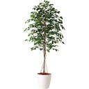 フェイクグリーン 観葉植物 フェイク 人工観葉植物 大型 光触媒 造花 大型 フィッカスベンジャミナ (ベンジャミン) 180cm 鉢植 人工光触媒 CT触媒 ...