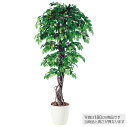 【メーカー直送】 人工観葉植物 大型 フィッカスベンジャミナリアナ (ベンジャミン) 200cm 鉢植 フェイクグリーン 観葉植物 造花 インテリア 【代引不可...