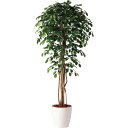 フェイクグリーン 観葉植物 フェイク 人工観葉植物 大型 光触媒 造花 大型 フィッカスベンジャミナリアナ (ベンジャミン) 180cm 鉢植 人工光触媒 CT...