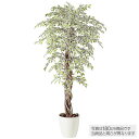 【メーカー直送】 人工観葉植物 大型 ベンジャミナスターライトリアナ (ベンジャミン) 200cm 鉢植 観葉植物 造花 フェイクグリーン インテリア 【代引不...