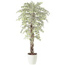 フェイクグリーン 観葉植物 フェイク 人工観葉植物 大型 光触媒 人工大型 ベンジャミナスターライトリアナ (ベンジャミン) 180cm 鉢植 造花 光触媒 C...