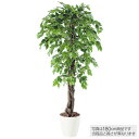 フェイクグリーン 観葉植物 フェイク 人工観葉植物 大型 光触媒 造花 ベンジャミナスプラッシュリアナ (ベンジャミン) 150cm 鉢植 人工大型 光触媒 C...