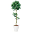 フェイクグリーン 観葉植物 フェイク 人工観葉植物 大型 光触媒 造花 ベンジャミン トピアリー FST 150cm 鉢植 人工大型 光触媒 CT触媒 インテリ...