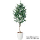 フェイクグリーン 観葉植物 フェイク 人工観葉植物 大型 光触媒 造花 ライプオリーブデュアル 150cm 鉢植 人工大型 光触媒 CT触媒 インテリア