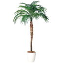 【メーカー直送】 人工観葉植物 大型 フェニックス・ロベレニー (パーム) 200〜300cm 鉢植 観葉植物 造花 フェイクグリーン インテリア 【代引不可】