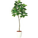 フェイクグリーン 観葉植物 フェイク 人工観葉植物 大型 光触媒 造花 大型 アルテシマ FST (アルティーシマ アルテーシマ) 180cm 鉢植 人工光触媒...