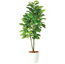 フェイクグリーン 観葉植物 フェイク 人工観葉植物 大型 光触媒 大型 アルテシマ株立 FST (アルティーシマ アルテーシマ) 180cm 鉢植 造花 人工光...