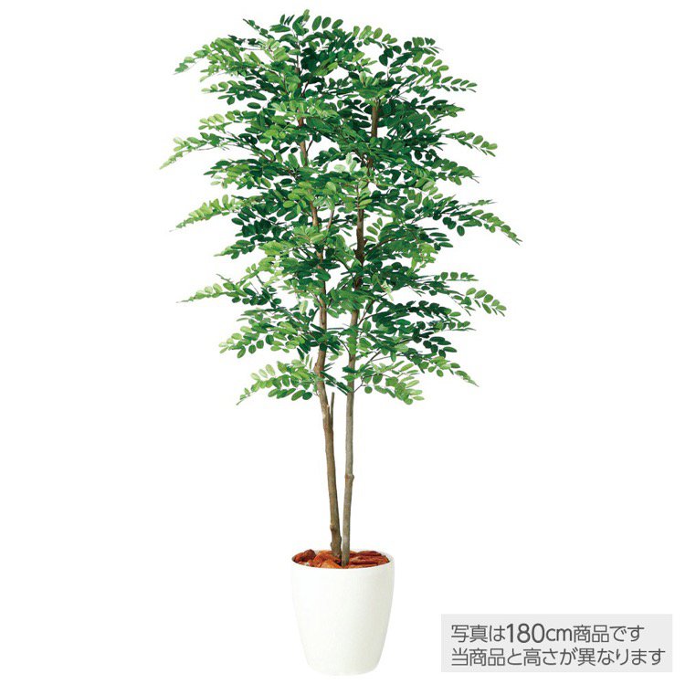 【マラソン期間中P5倍】【メーカー直送】 人工観葉植物 大型 アカシアデュアル 200cm 鉢植 フェイクグリーン 観葉植物 造花 インテリア 【代引不可】