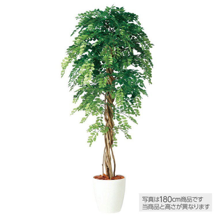 【マラソン期間中P5倍】人工観葉植物 アカシアリアナ 150cm 鉢植 観葉植物 造花 大型 フェイクグリーン 光触媒 CT触媒 インテリア