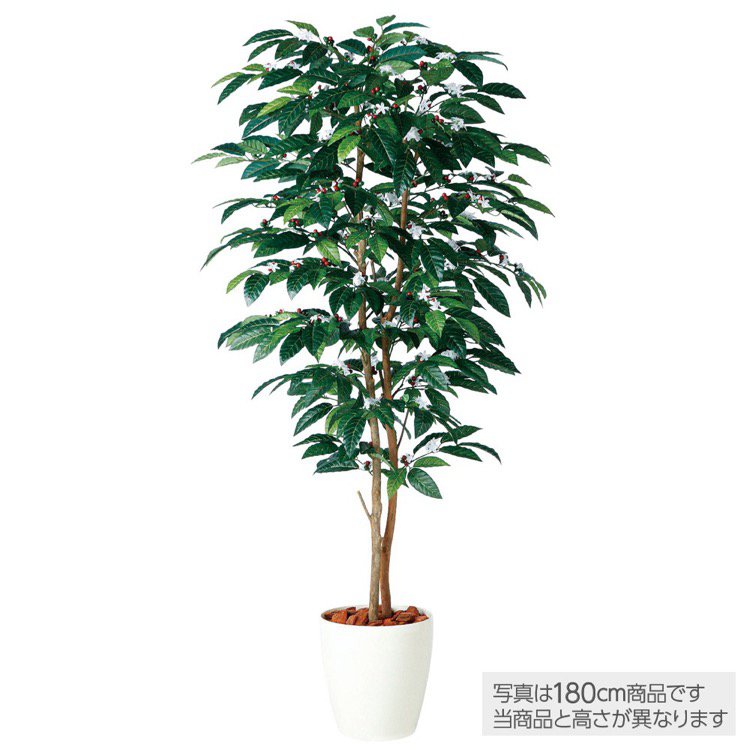 【マラソン期間中P5倍】【メーカー直送】 観葉植物 造花 大型 コーヒーデュアル (コーヒーの木) 200cm 鉢植 人工観葉植物 フェイクグリーン インテリア 【代引不可】