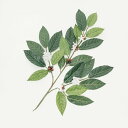 花材 コーヒー スプレー 60cm コーヒーの木 人工観葉植物 造花 フェイクグリーン 光触媒 CT触媒 消臭 抗菌 インテリア