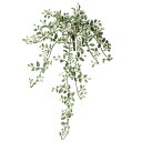 【人工観葉植物】 プミラ 55cm 【フェイクグリーン 観葉植物 造花 光触媒 CT触媒 インテリア】