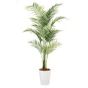 【メーカー直送】 観葉植物 造花 大型 アレカヤシ PE (アレカパーム) 200cm 鉢植 フェイクグリーン 人工観葉植物 インテリア 【代引不可】