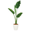 フェイクグリーン 観葉植物 フェイク 人工観葉植物 大型 光触媒 人工 ストレリチア・オーガスタ (ストレチア) 130cm 鉢植 大型 造花 光触媒 CT触媒...
