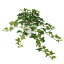 【人工観葉植物】 セージアイビー 60cm 鉢植 【フェイクグリーン 観葉植物 造花 光触媒 CT触媒 インテリア】