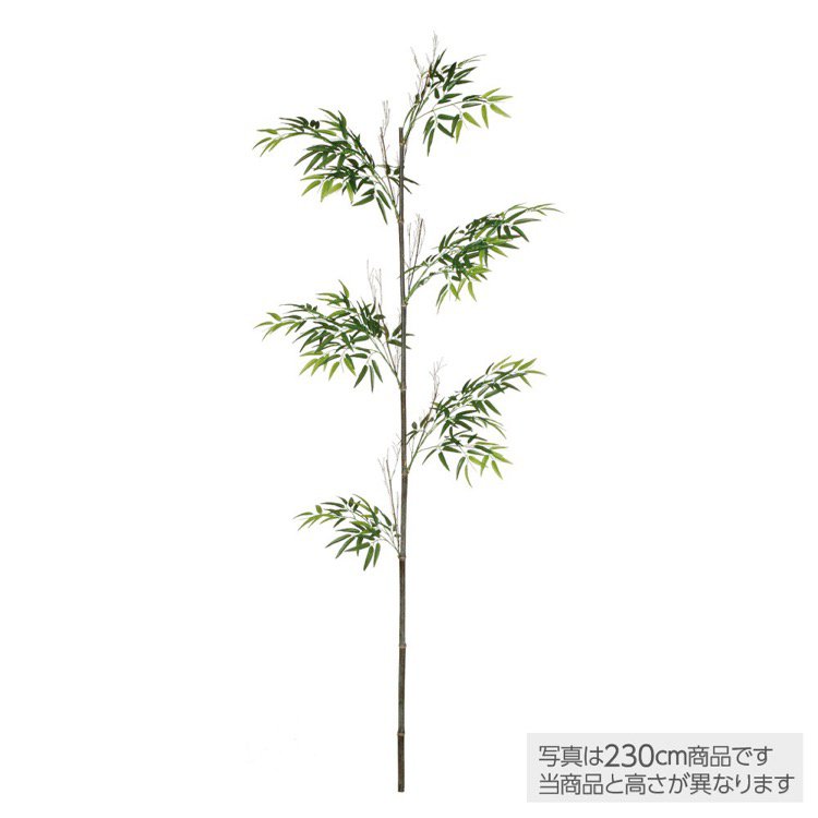 【メーカー直送】 花 大型 天然 黒竹1本立 (バンブー) 250cm フェイクグリーン 人工 観葉植物 インテリア オフィス 保育園 小学校 施設 店舗 【代引不可】