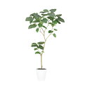 フェイクグリーン 観葉植物 フェイク 人工観葉植物 大型 光触媒 造花 大型 HQ ウンベラータ FST 150cm 鉢植 人工光触媒 CT触媒 インテリア