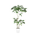 フェイクグリーン 観葉植物 フェイク 人工観葉植物 大型 光触媒 造花 大型 HQ ウンベラータ FST 150cm 2本立て 鉢植 人工光触媒 CT触媒 イン...