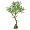【メーカー直送】フェイクグリーン 人工観葉植物 ゴールデンリーフ コアッド 高さ約200cm 本体のみ リアル 組立式 造花 鉢植 光触媒 CT触媒 インテリア...