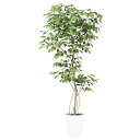 フェイクグリーン 観葉植物 フェイク 人工観葉植物 大型 光触媒 人工ベンジャミン FST 高さ約180cm リアル 造花 鉢植 光触媒 CT触媒 インテリア ...