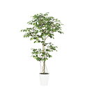 フェイクグリーン 観葉植物 フェイク 人工観葉植物 大型 光触媒 人工ベンジャミン FST 高さ約150cm リアル 造花 鉢植 光触媒 CT触媒 インテリア ...