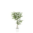 フェイクグリーン 観葉植物 フェイク 人工観葉植物 大型 光触媒 人工ベンジャミン FST 高さ約120cm リアル 造花 鉢植 光触媒 CT触媒 インテリア ...