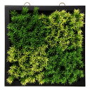 フェイクグリーン 観葉植物 造花 光触媒 壁掛け ウォールグリーン グラスフレーム(ツートン) 30×30cm フェイク グリーン インテリア おしゃれ CT触媒 お祝い