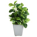 フェイクグリーン 観葉植物 フェイク 人工観葉植物 卓上 ミニ 小さい 光触媒 ミニ ロマンスの観葉 アルテシマminiポット 人工造花 光触媒 陶器鉢 グリー...