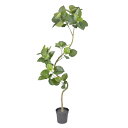 フェイクグリーン 観葉植物 フェイク 人工観葉植物 大型 光触媒 ツイストウンベラータポット 組立式 曲がり 高さ200cm 人工 大型 人工樹 リアル 造花 ...