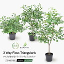 ハートの木 フィカス トライアンギュラリス ポット 高さが変わる3 WAY 70～150cm フェイクグリーン 人工観葉植物 大型 人工樹 フェイク リアル 造花 インテリア 人工観葉植物 光触媒 ディスプレイ