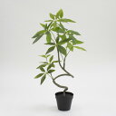 フェイクグリーン 観葉植物 フェイク 人工観葉植物 卓上 ミニ 小さい 光触媒 造花 スパイラルパキラポット グリーン 60cm リアル 人工 人気 玄関 リビング オフィス インテリア 部屋 空気清浄 曲がり うねり ぐねり ぐねぐね 光触媒 シンプル おしゃれ CT触媒