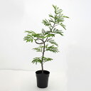 フェイクグリーン 観葉植物 フェイク 人工観葉植物 大型 光触媒 造花 スパイラルエバーフレッシュポット(M) グリーン 102cm リアル 人工 人気 玄関 リビング オフィス インテリア 部屋 空気清浄 曲がり うねり ぐねり ぐねぐね 光触媒 シンプル