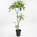 フェイクグリーン 観葉植物 フェイク 人工観葉植物 大型 光触媒 造花 パキラポット グリーン 117cm リアル 大型 人工 人気 玄関 リビング オフィス インテリア 部屋 空気清浄 光触媒 シンプル おしゃれ CT触媒