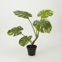 フェイクグリーン 観葉植物 フェイク 人工観葉植物 卓上 ミニ 小さい 光触媒 造花 モンステラポット グリーン 71cm スプリットフィロ リアル 人工 人気 玄関 リビング オフィス インテリア 部屋 空気清浄 光触媒 シンプル おしゃれ CT触媒