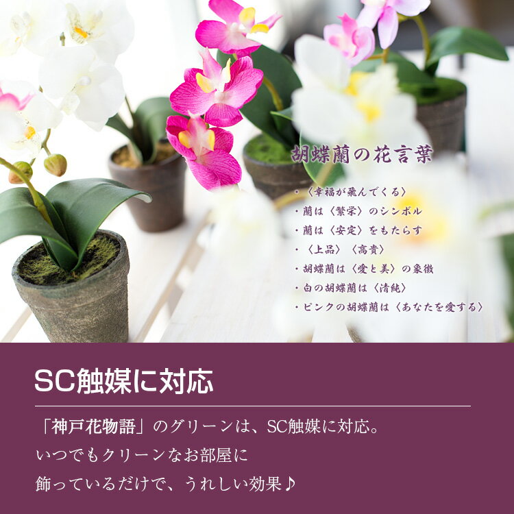 【20%OFF セール】ミニ胡蝶蘭2個セット 仏用 造花 玄関 母の日 花 ギフト プレゼント 贈り物 リピ買い 花言葉 幸福が飛んでくる 繁栄 安定 上品 気品 純粋 CT触媒 光触媒 消臭 抗菌 インテリア 御祝い [md][kd]