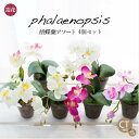 母の日 花 2025 プレゼント 送料無料 ミニ胡蝶蘭4個セット 造花 アーティフィシャルフラワー 仏用 玄関 花 ギフト プレゼント 贈り物 リピ買い CT触...