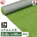 【2個セット】リアル人工芝 IP-3025 IP-3025 送料無料 人工芝 人工芝マット 芝マット リアル人工芝 人工芝生 芝生 雑草対策 ロールタイプ 2×5m 芝生ロール 芝ロール 園芸 ガーデニング アイリスオーヤマ