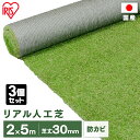 【3個セット】リアル人工芝 IP-3025 IP-3025 送料無料 人工芝 人工芝マット 芝マット リアル人工芝 人工芝生 芝生 雑草対策 ロールタイプ 2×5m 芝生ロール 芝ロール 園芸 ガーデニング アイリスオーヤマ