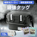クーラーボックス 小型 釣り 15L 真空断熱 保冷力 氷点下保冷剤 選べる保冷剤付きセット 急速凍結タイプ 超低温タイプ トレー付 持ち手 肩掛け 部活 キャンプ ヒューゲル HUGEL VITC-15 アイリスオーヤマ *