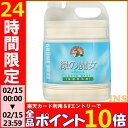 【2/9 20時〜エントリーで全品ポイント5倍】【当店イチオ...