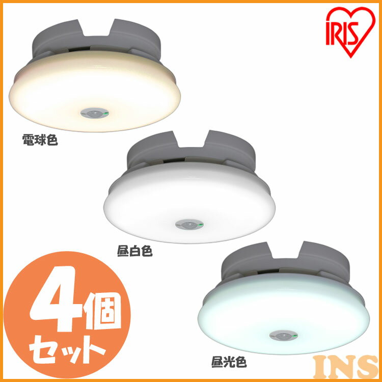 4ĥåȡ ʹ󥵡  󥰥饤 󥰥饤  600lm ʹ󥵡 SCL6LMS-UU ŵ忧 SCL6NMS-UU...