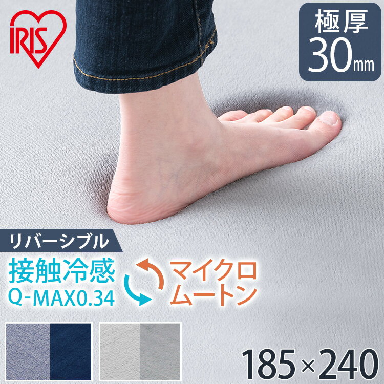 【最大400円クーポン】 ラ・クッションラグ リバーシブルタイプ 185×240cm ACRR-CM1824 グレー ネイビー 送料無料 ラグ ラグマット マット カーペット 絨毯 ムートン 接触冷感 クッションラグ 厚手 極厚 厚み はっ水 撥水加工 すべり止め アイリスオーヤマのサムネイル