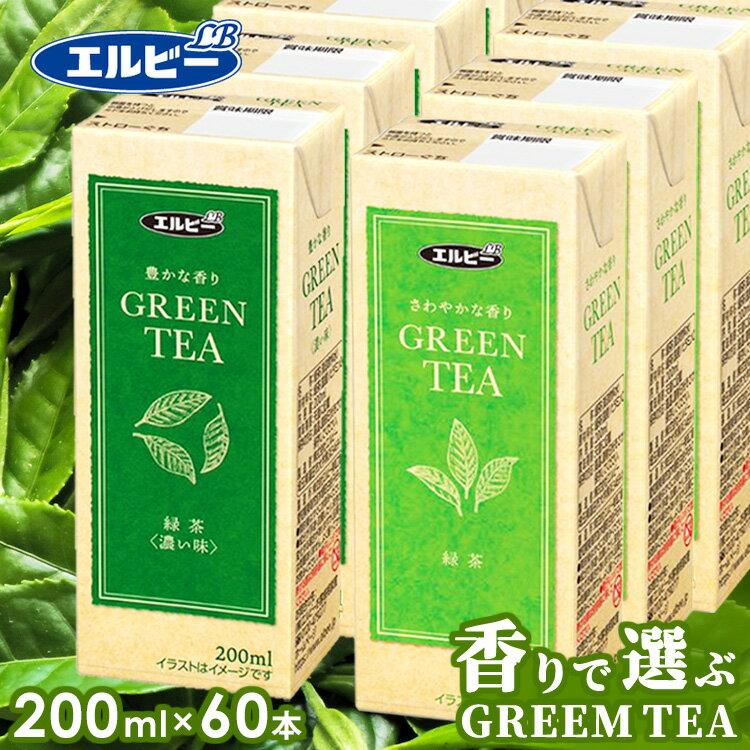 【60本】 緑茶 お茶 紙