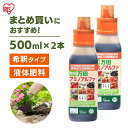万田酵素 万田アミノアルファ 500ml 2本セット 肥料 野菜 液肥 液体肥料 植物 活力剤 園芸 花 畑 農園 施肥 果樹園 家庭菜園 ガーデニング 鉢植え...