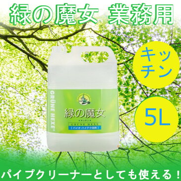 緑の魔女 洗剤 液体洗剤 キッチン 業務用 5L ミマスクリーンケア 5000mL 詰め換え 詰替え キッチン用 大容量 ドイツ 食器 生ゴミ パイプ ぬめり【D】
